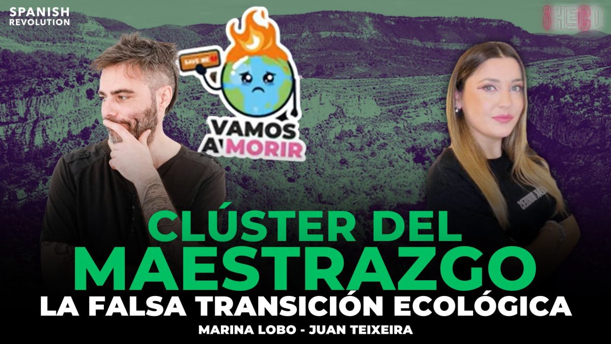 Vídeo | Millones de árboles sacrificados: devastador impacto del Clúster del Maestrazgo, con Juan Teixeira