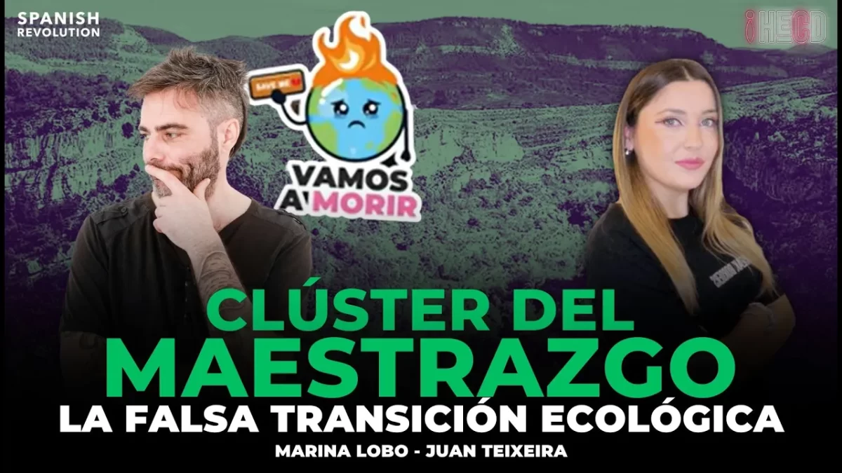 Vídeo | Millones de árboles sacrificados: devastador impacto del Clúster del Maestrazgo, con Juan Teixeira