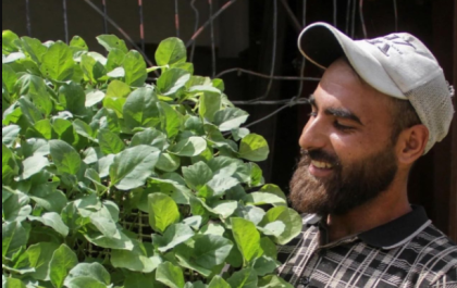 Vídeo | El héroe agrícola de Gaza: la historia de Yousef Abu Rabee, un agricultor bajo las bombas