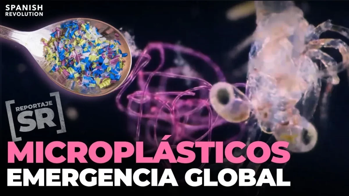 Microplásticos: emergencia global | Reportajes SR