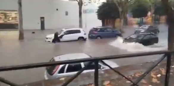 Captura de pantalla 2024 11 14 075055