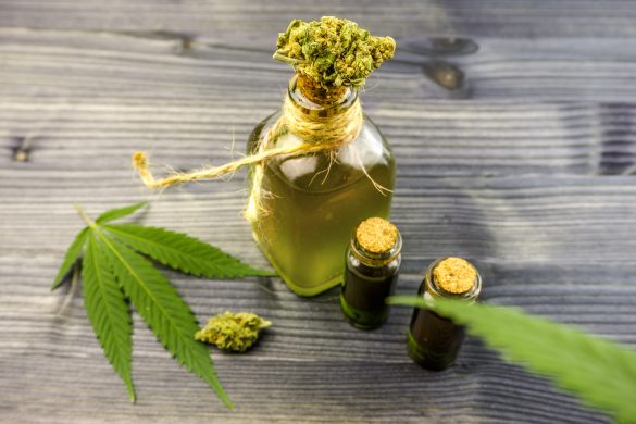 cbd oil and flower buds 2023 11 27 05 25 32 utc