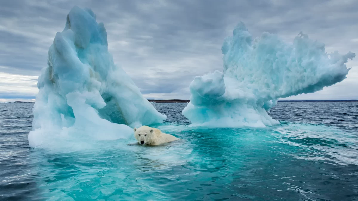 Groenlandia se derrite: el impacto oculto de 2.347 kilómetros cúbicos de hielo perdido