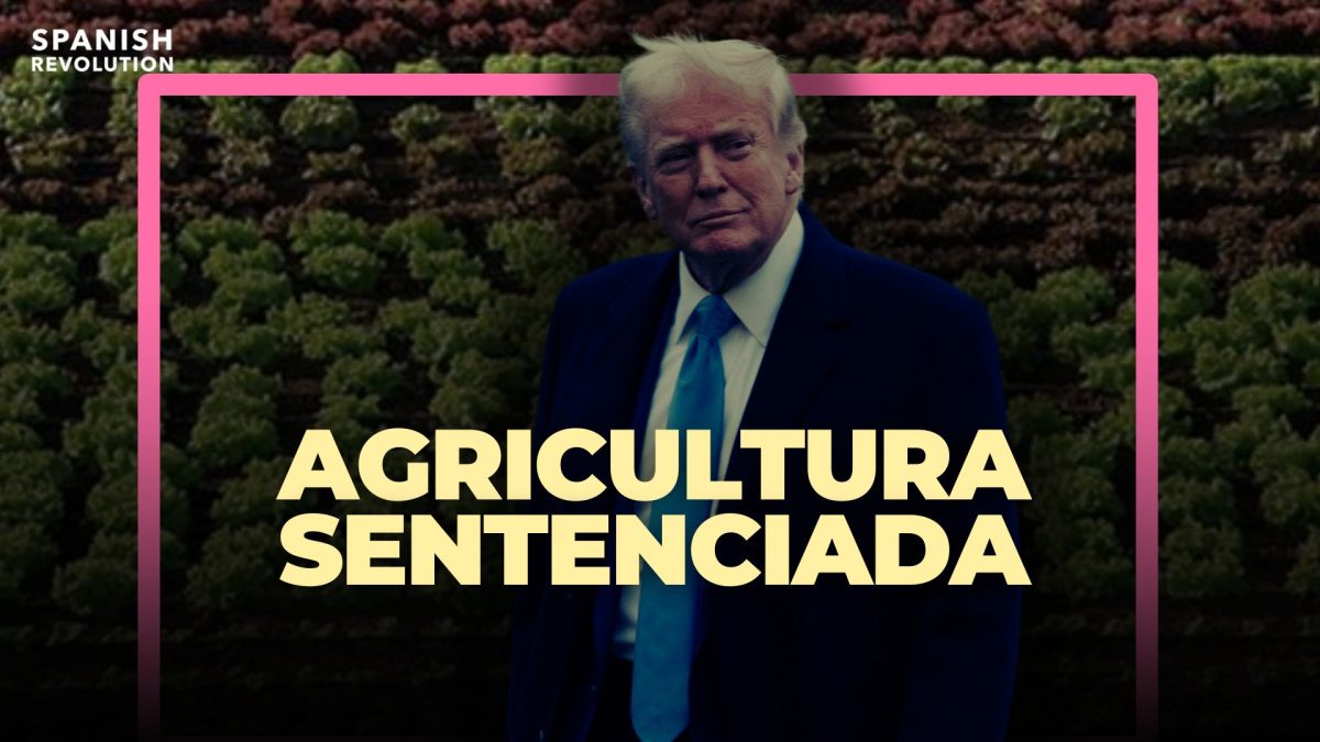 Trump sentencia la agricultura de EE.UU. mientras Brasil se corona como potencia exportadora