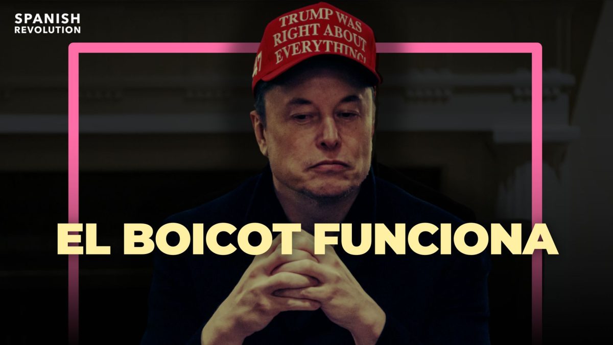 Cuando un boicot funciona: Elon Musk deja de lado la política para evitar un mayor descalabro de Tesla