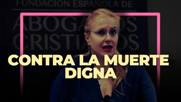 Cartela horizontal 2025 05 09T072820.376