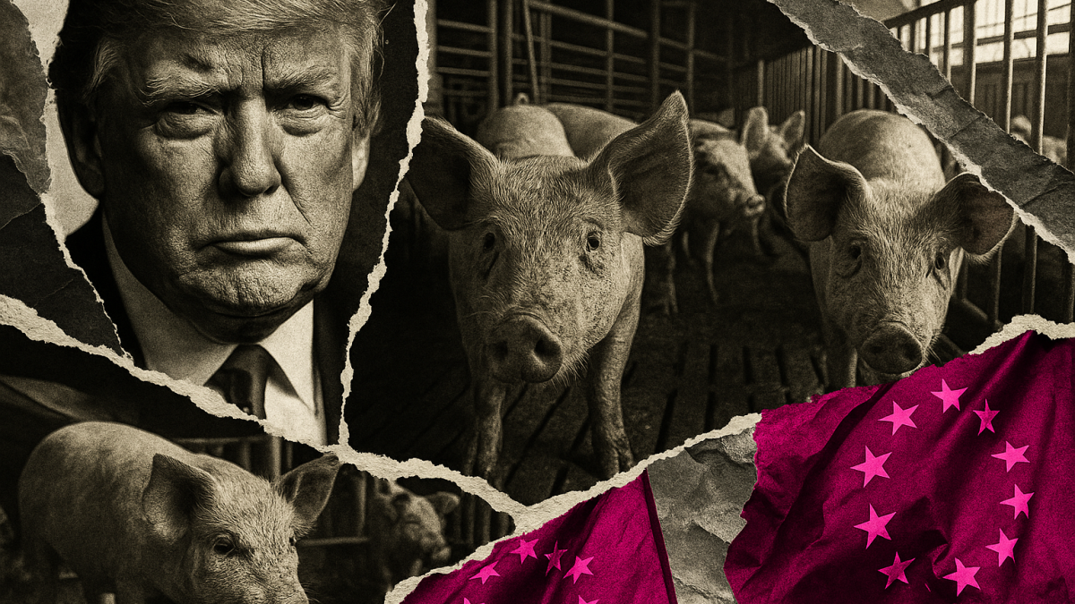 La gran sumisión: Europa abre sus fronteras al cerdo de Trump