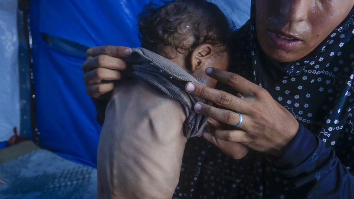 Cómo frenar el hambre en Gaza