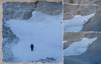 331a5628 b800 41e9 bd48 4c9cea4e554a