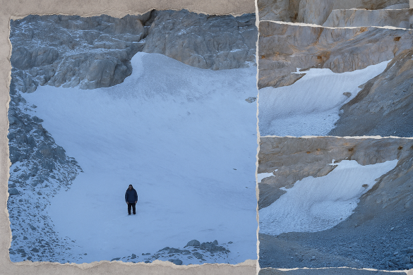 331a5628 b800 41e9 bd48 4c9cea4e554a