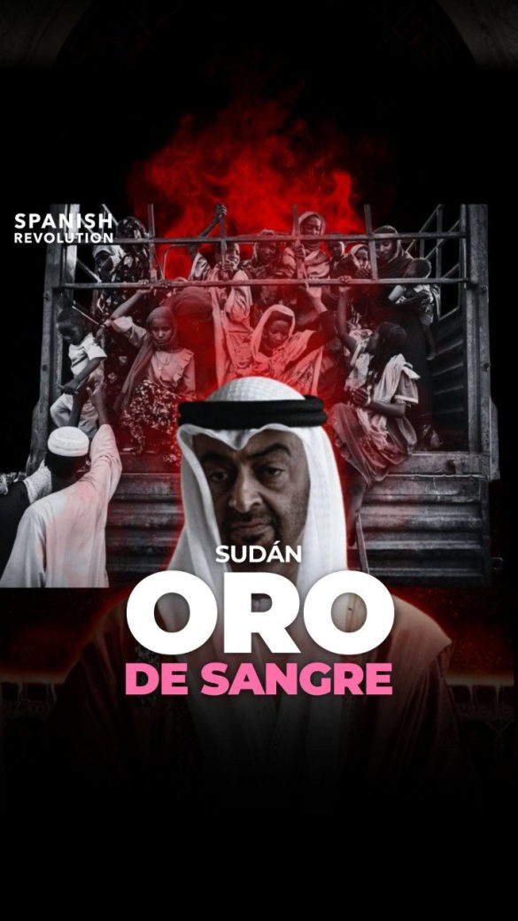 photo 2025 11 05 07 41 58