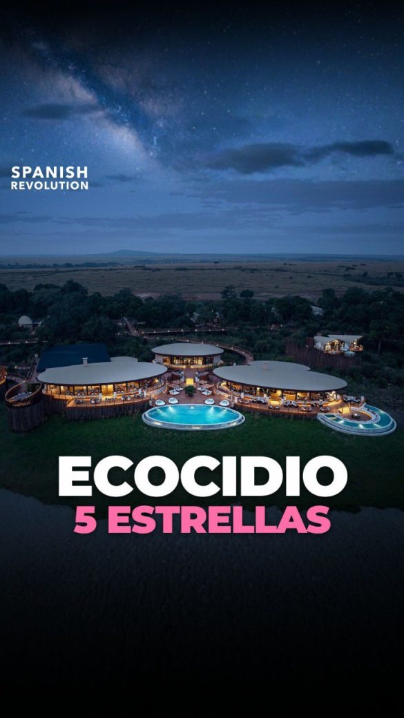 photo 2025 11 26 12 04 59