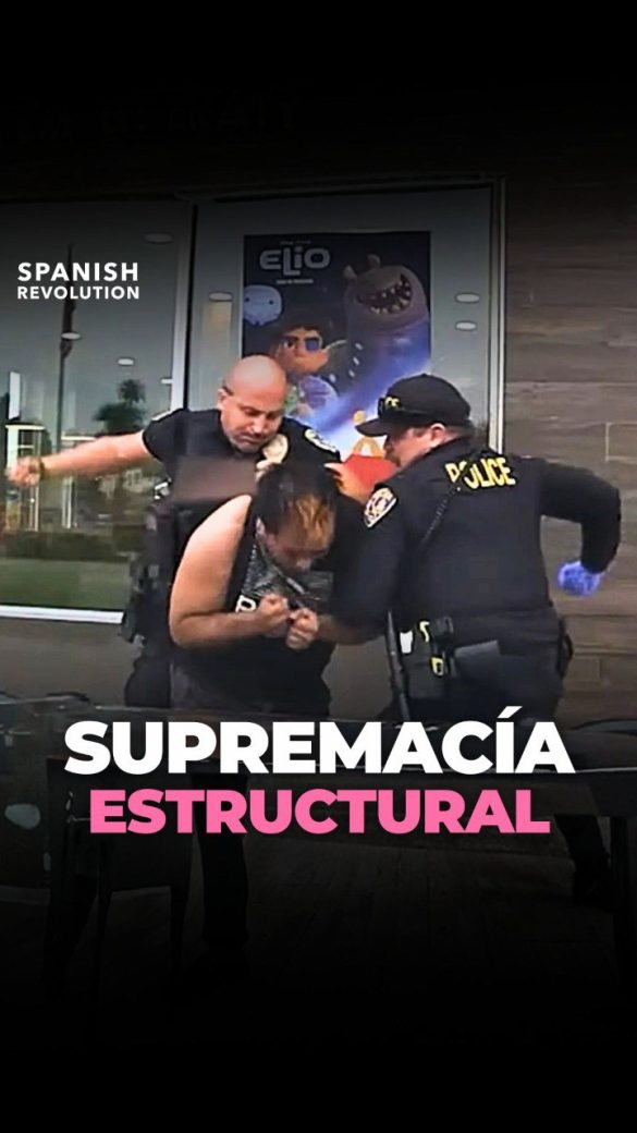 photo 2025 11 26 12 52 10