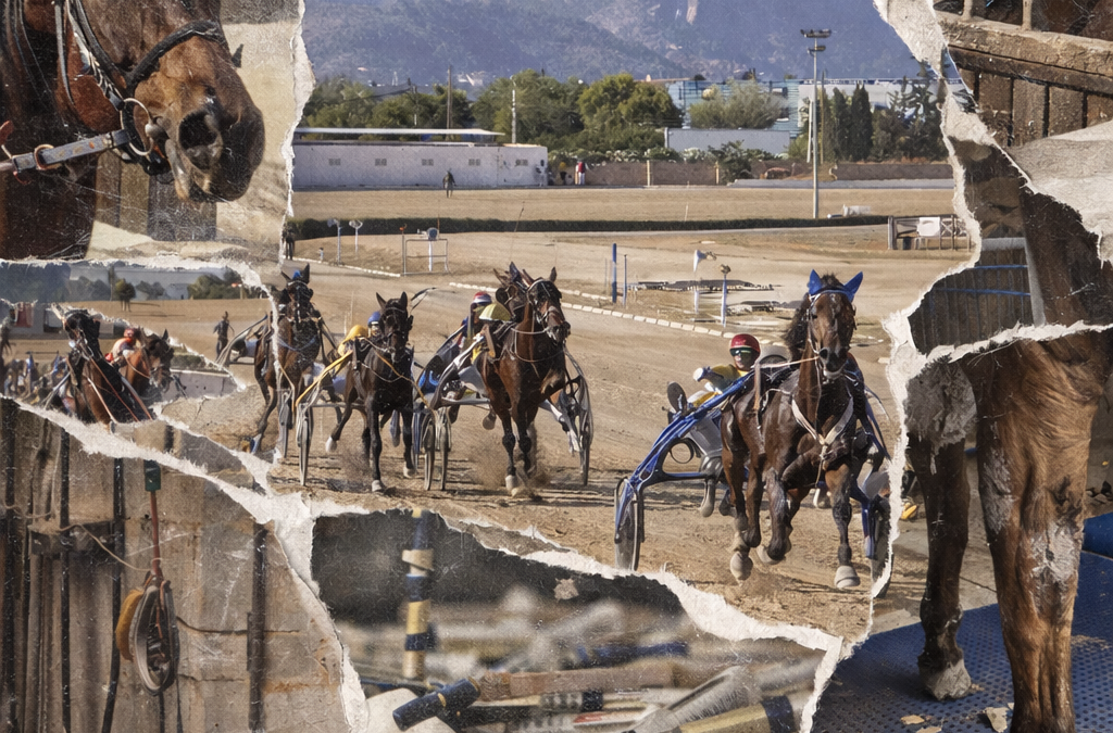 PP y Vox bañan con dinero el hipódromo de Mallorca pese a ser ilegal y a las denuncias por maltrato animal