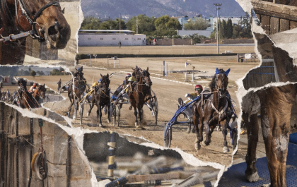 87abf4d6 6ccf 407f 97be e8b7f660a014