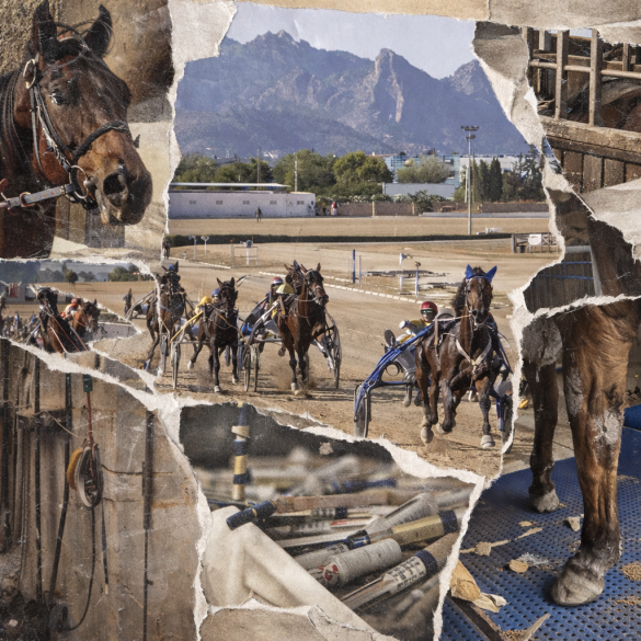 87abf4d6 6ccf 407f 97be e8b7f660a014