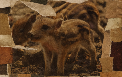 b163ca2e 3a7f 498f a4de 4daed29c13af