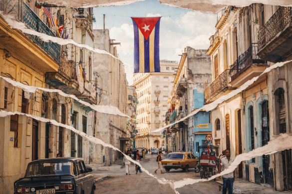 16d28b16 7250 4677 8f70 2ee390935fda 1