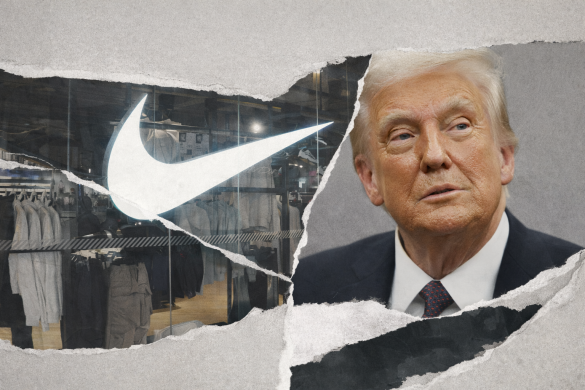 6d775e0e 73ac 483e ae68 c3681d37d788