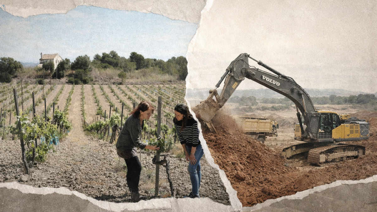 Ametller Origen: querellas verdes para silenciar la protesta