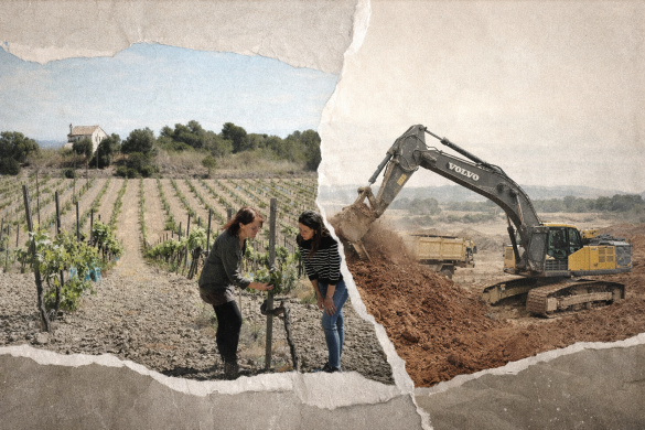 ae7bb535 bdb4 41b3 afcd d448b142cb7e 1