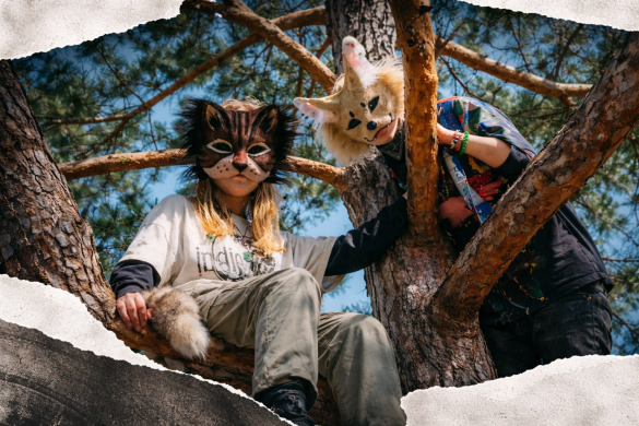 c8051e7b dec6 4d89 9d53 283038d2b1bf