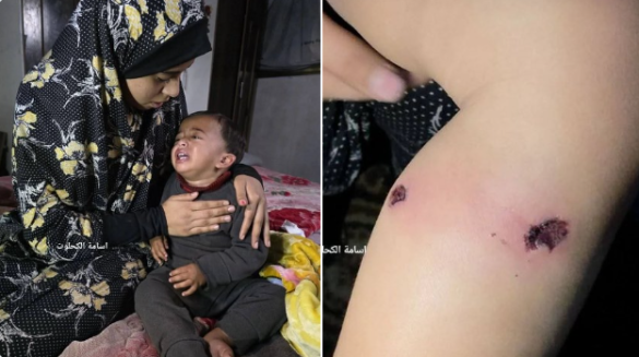 Captura de pantalla 2026 03 23 072756