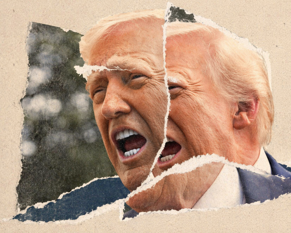 011dbb6c 4835 430e ba84 06cad1e2008d