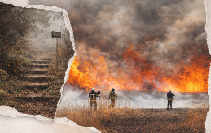 0b5bb793 7f7f 401e 9691 065c843b53e2 1