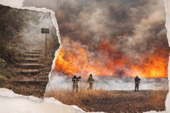 0b5bb793 7f7f 401e 9691 065c843b53e2 1