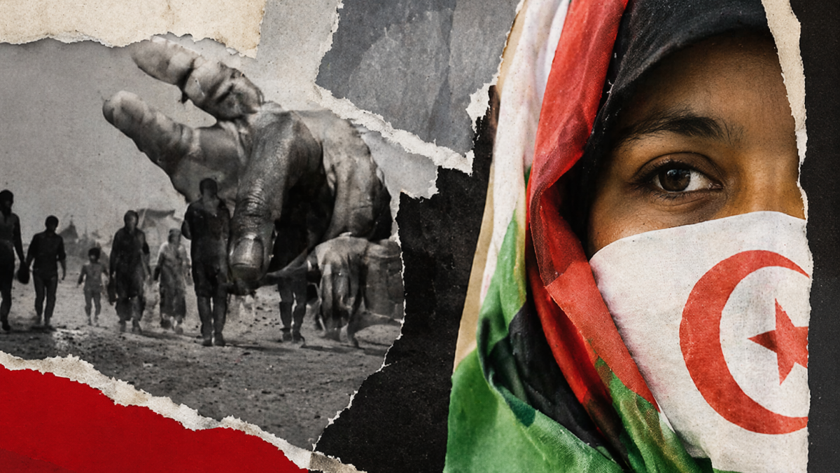 Vídeo | Regularización histórica en España, sí; pero con una exclusión que apunta al Sáhara