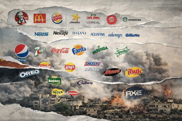 b8da7051 8be2 4d9f 805a 93e424ae56e5