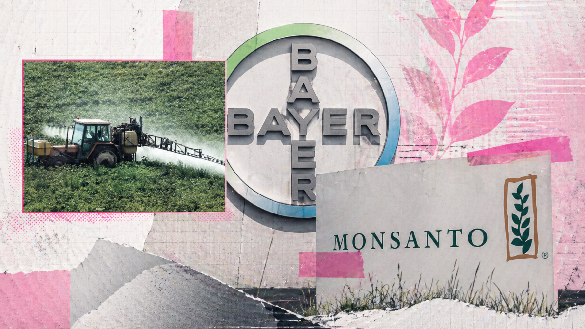 Bayer contra las víctimas: el juicio que puede cerrar la puerta a miles de enfermos por glifosato