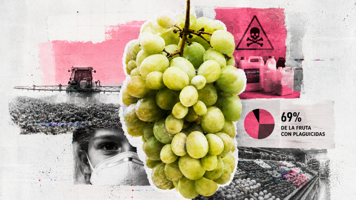 El 69% de la fruta en España contiene plaguicidas: los químicos ya están en nuestra mesa