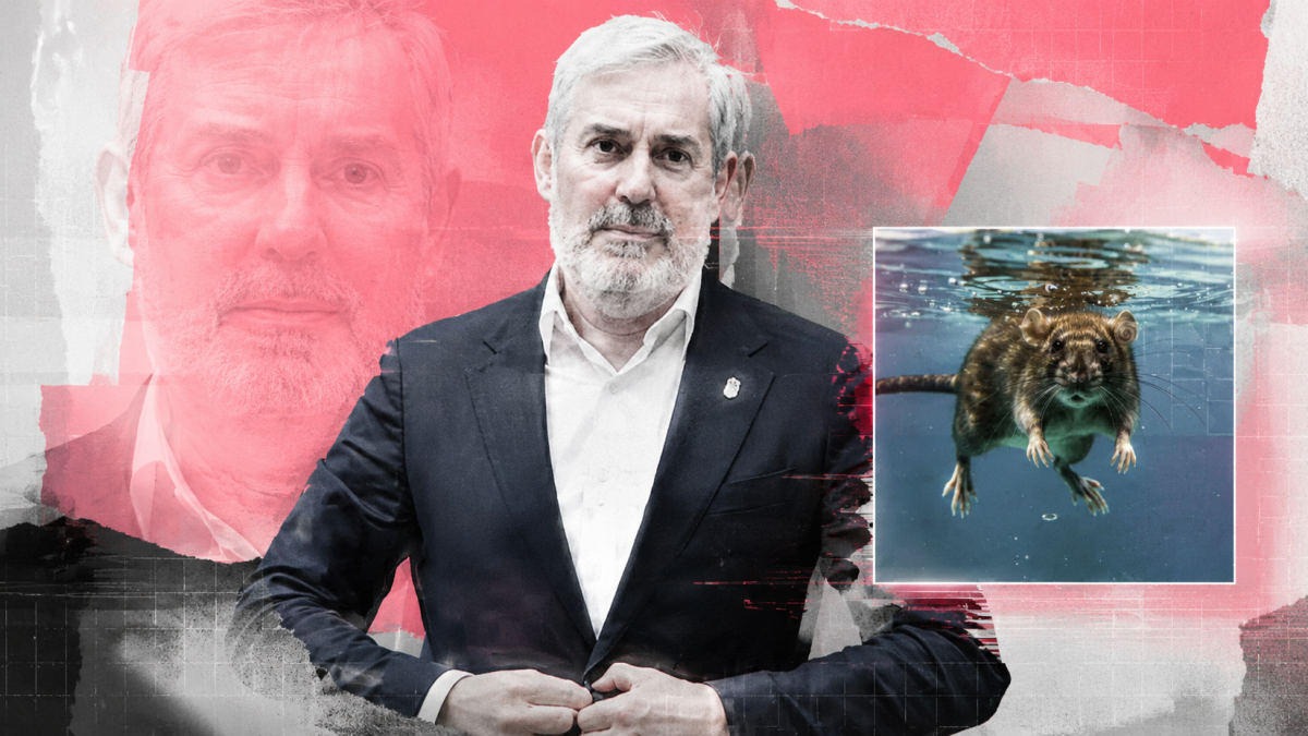 La rata de Clavijo