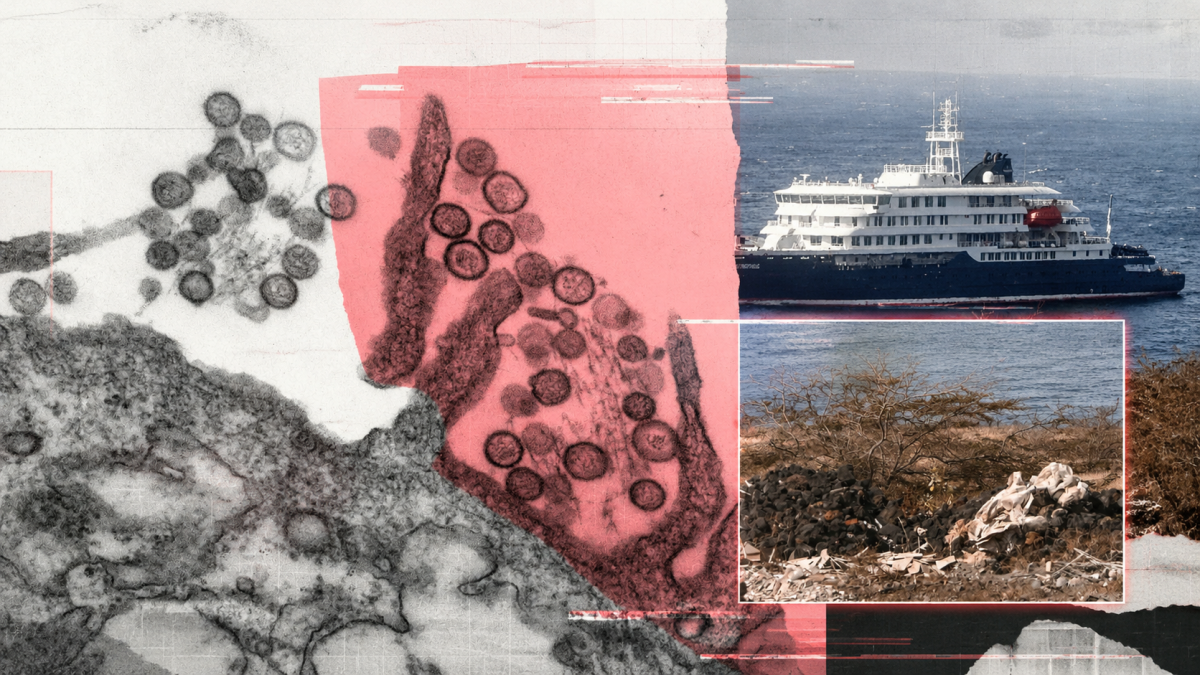 El hantavirus no es nuevo ni anuncia otra pandemia. Desmontamos los bulos alrededor del brote