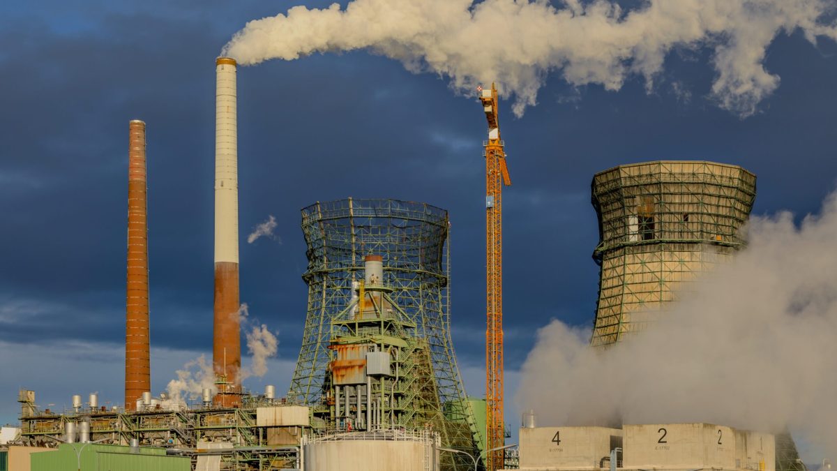El Bachelor en Ciencias Ambientales como motor de soluciones para un planeta sostenible