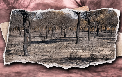 16b61ef9 5504 4719 970c 4d149159d7ef