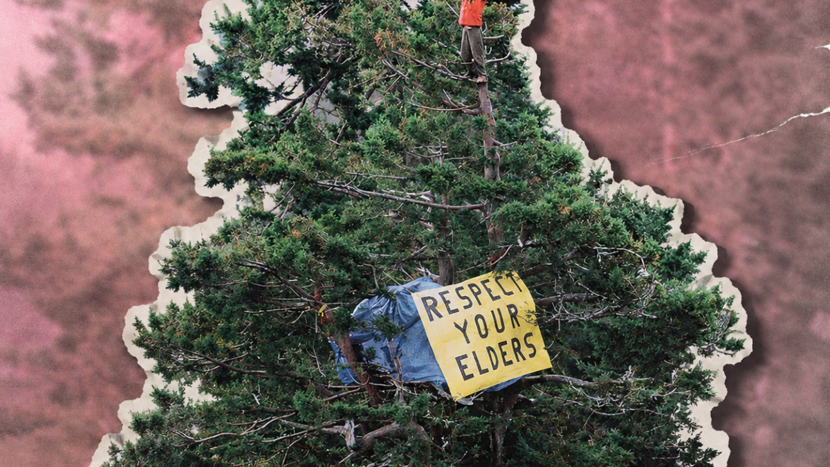 Julia Butterfly Hill: la mujer que tuvo que vivir 738 días en un árbol porque el capitalismo quería talarlo