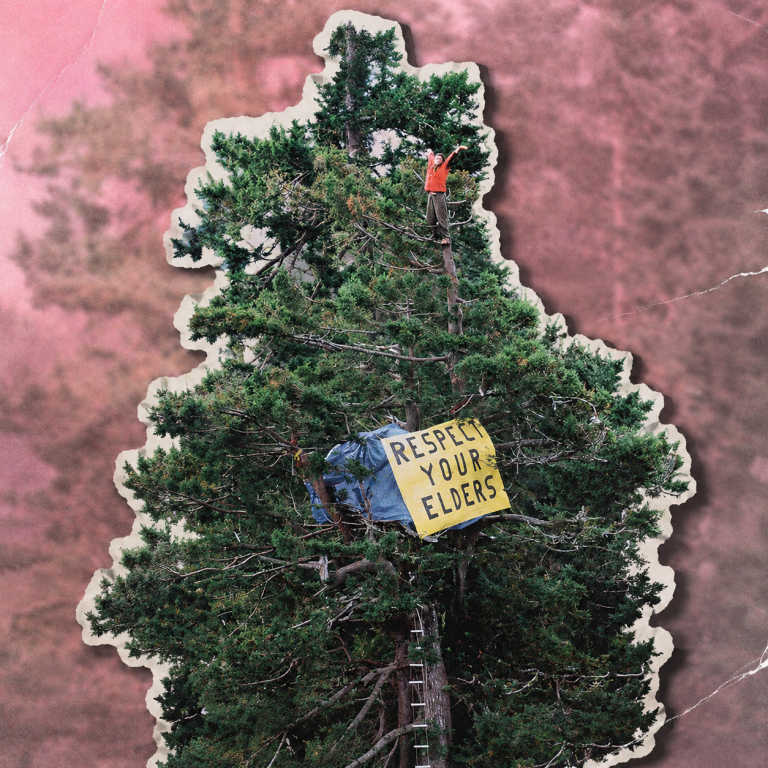 Julia Butterfly Hill: la mujer que tuvo que vivir 738 días en un árbol porque el capitalismo quería talarlo